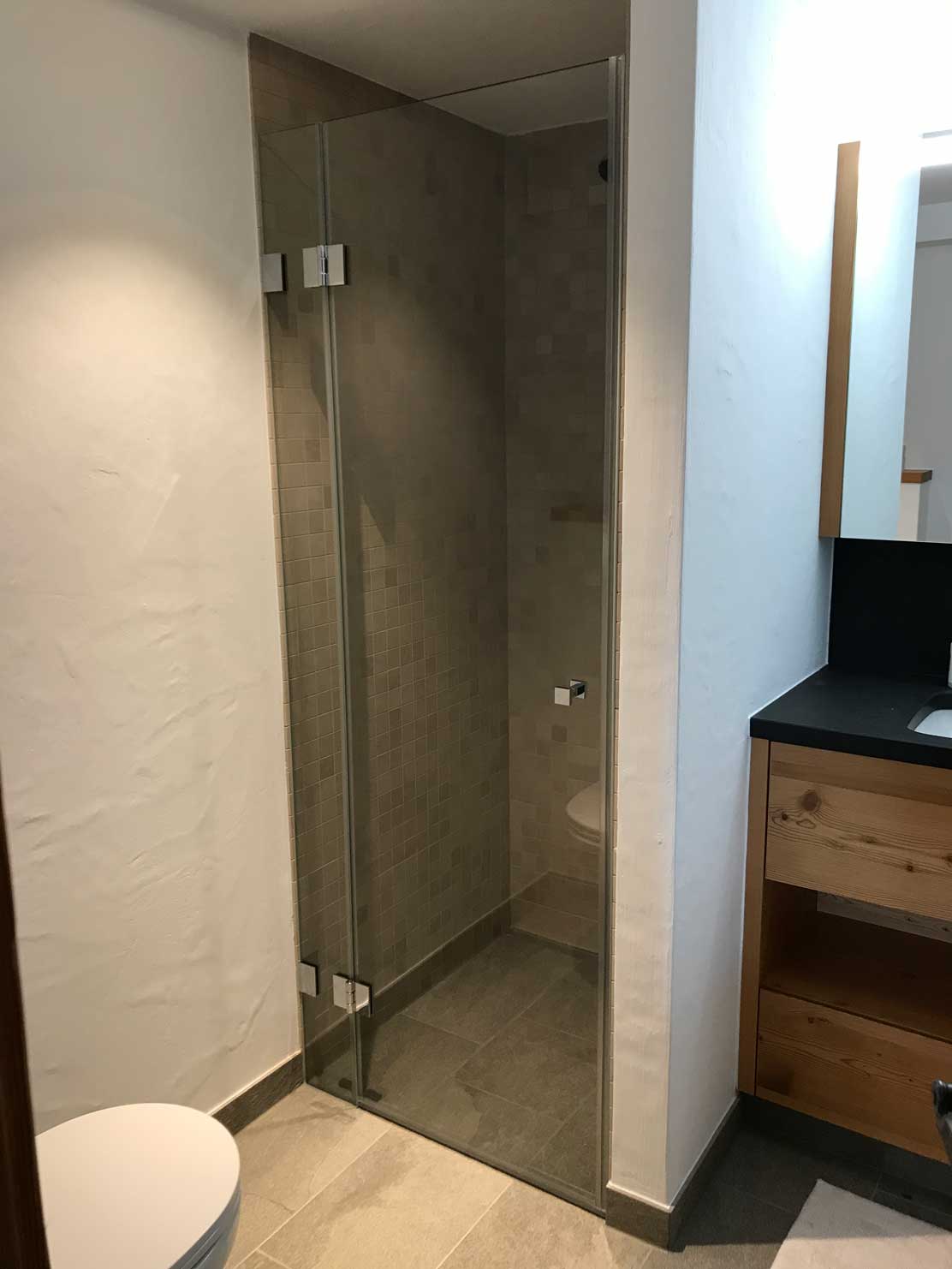 Porte de douche en verre type 24